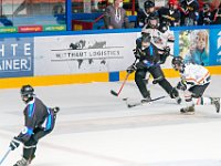 DSC07645-1500