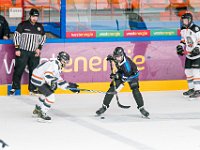 DSC07648-1500