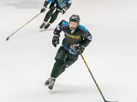 DSC07649-1500