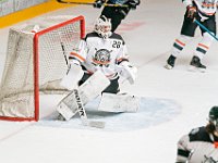DSC07653-1500