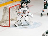 DSC07654-1500