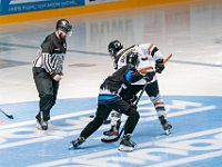 DSC07655-1500