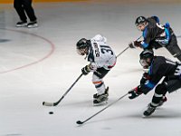 DSC07673-1500