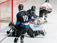 DSC07676-1500