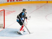 DSC07683-1500