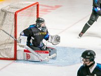 DSC07690-1500