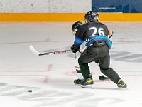 DSC07705-1500
