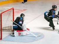 DSC07709-1500