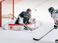 DSC07735-1500