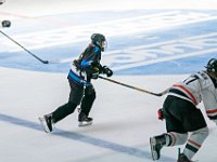 DSC07738-1500