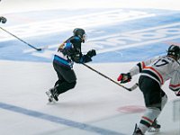 DSC07739-1500