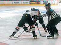 DSC07796-1500