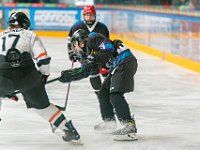 DSC07806-1500