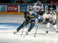 DSC07812-1500