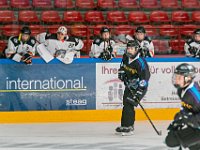 DSC07850-1500