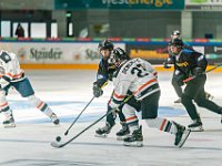 DSC07877-1500