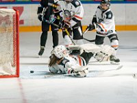 DSC07886-1500
