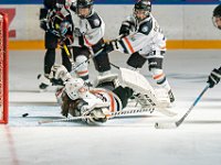 DSC07887-1500