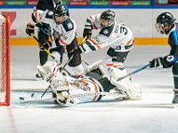 DSC07888-1500