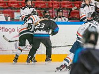 DSC07924-1500