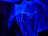 DSC01785-1250