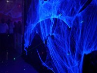 DSC01828-1250