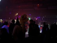 DSC01874-1250
