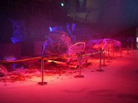 DSC01955-1250