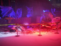 DSC01957-1250