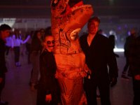 DSC02081-1250