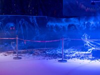 Topaz-A7 02767-denoise-sharpen 1920