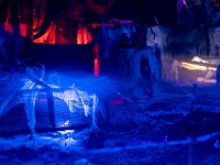 Topaz-A7 02770-denoise-sharpen 1920