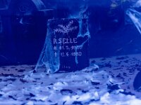 Topaz-A7 02773-denoise-sharpen 1920