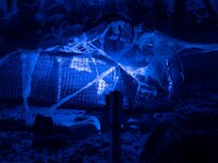 Topaz-A7 02777-denoise-sharpen 1920