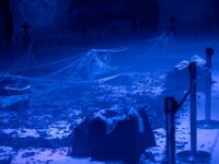 Topaz-A7 02778-denoise-sharpen 1920