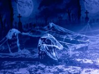 Topaz-A7 02779-denoise-sharpen 1920