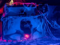 Topaz-A7 02780-denoise-sharpen 1920