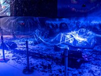 Topaz-A7 02781-denoise-sharpen 1920