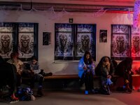 Topaz-A7 02792-denoise-sharpen 1920