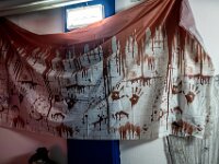 Topaz-A7 02797-denoise-sharpen 1920