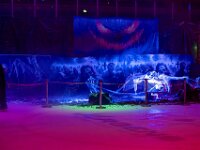 Topaz-A7 02807-denoise-sharpen 1920