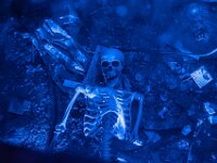 Topaz-A7 02815-denoise-sharpen 1920