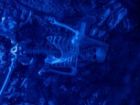 Topaz-A7 02818-denoise-sharpen 1920