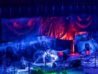 Topaz-A7 02828-denoise-sharpen 1920