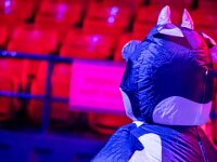 Topaz-A7 02898-denoise-sharpen 1920