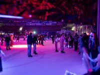 Topaz-A7 02907-denoise-sharpen 1920