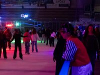 Topaz-A7 02979-denoise-sharpen 1920