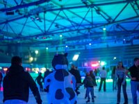 Topaz-A7 02988-denoise-sharpen 1920