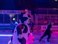 Topaz-A7 03041-denoise-sharpen 1920