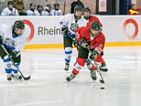 DSC01272-1000